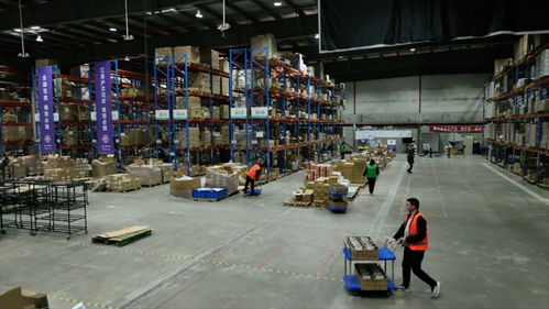 強(qiáng)信心 開新局 跨境電商加速跑，直擊上海港進(jìn)出口商品中轉(zhuǎn)倉的技術(shù)進(jìn)出口新篇