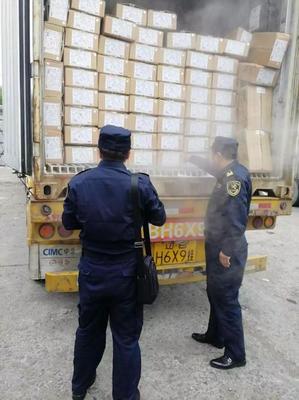 中國對俄出口冷凍雞胸肉經綏芬河口岸首發，區域經貿合作邁上新臺階