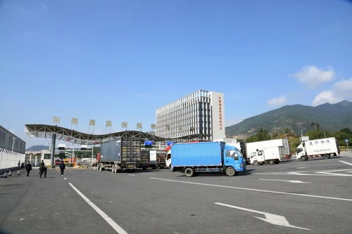 累計(jì)進(jìn)出區(qū)貨值超1884億元 清溪保稅物流中心迎來封關(guān)運(yùn)行四周年，技術(shù)進(jìn)出口成亮點(diǎn)